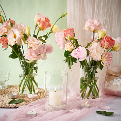 Transparent Glass Hydroponic Vase&nbsp;AJEW-WH0348-441B