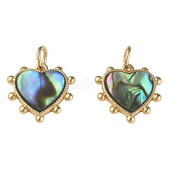 Synthetic Abalone Shell/Paua Shell Charms&nbsp;KK-N233-216