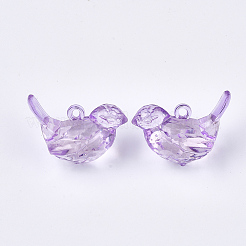 Transparent Acrylic Pendants&nbsp;X-TACR-S133-028