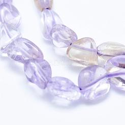 Natural Ametrine Beads Strands&nbsp;G-K203-09