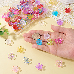 120Pcs 2 Styles Acrylic Bead Caps&nbsp;OACR-TA0004-70