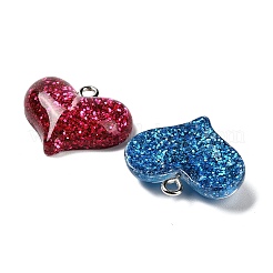 Transparent Resin Pendants&nbsp;RESI-I065-02