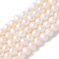 Natural Cultured Freshwater Pearl Beads Strands&nbsp;PEAR-I007-07O-03A