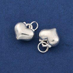 Fine Silver Charms with Jump Rings&nbsp;STER-P069-01A-S