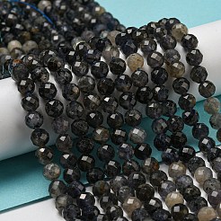 Natural Iolite Beads Strands&nbsp;G-A097-A14-09