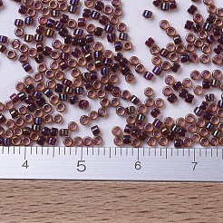 MIYUKI Delica Beads&nbsp;SEED-MY11-DB0061