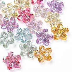 Transparent Acrylic Beads&nbsp;TACR-YW0001-47