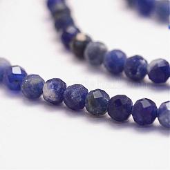 Natural Sodalite Bead Strands&nbsp;G-P279-58-3mm