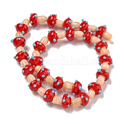 Handmade Lampwork Beads Strands&nbsp;LAMP-N025-03J