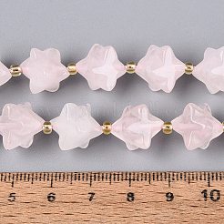 Natural Rose Quartz Beads Strands&nbsp;G-Q608-07A-02