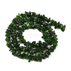 Natural Green Diopside Beads Strands&nbsp;G-P615-B01-01