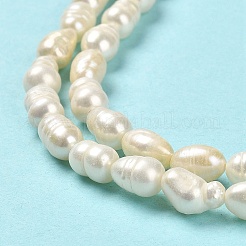 Natural Cultured Freshwater Pearl Beads Strands&nbsp;PEAR-E016-166