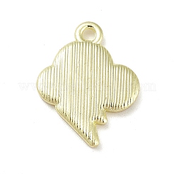 Alloy Enamel Pendants&nbsp;PALLOY-M199-02G