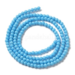 Synthetic Turquoise Dyed Beads Strands&nbsp;G-B090-A14-01