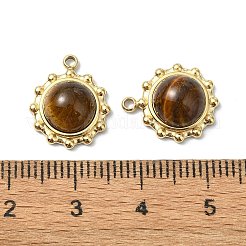 Natural Tiger Eye Charms&nbsp;STAS-L080-009G-09