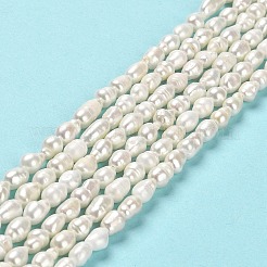 Natural Cultured Freshwater Pearl Beads Strands&nbsp;PEAR-E016-152