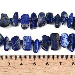 Natural Lapis Lazuli Beads Strands&nbsp;G-L657-E01-01