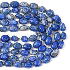 Natural Lapis Lazuli Beads Strands&nbsp;G-G453-D11-01