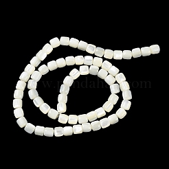 Natural Trochus Shell Beads Strands&nbsp;BSHE-E030-05B