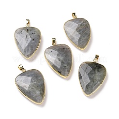 Faceted Natural Labradorite Pendants&nbsp;G-F340-02D