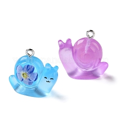 Transparent Resin Pendants&nbsp;RESI-F077-04P