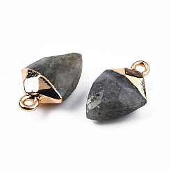 Natural Labradorite Pendants&nbsp;G-N326-134-03