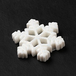 Christmas Theme Resin Cabochons&nbsp;RESI-C023-01P