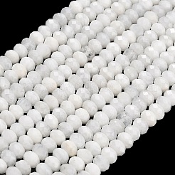 Natural Rainbow Moonstone Beads Strands&nbsp;G-C280-A10-02