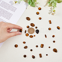 32Pcs 12 Styles Natural Tiger Eye Cabochons&nbsp;G-FH0002-20
