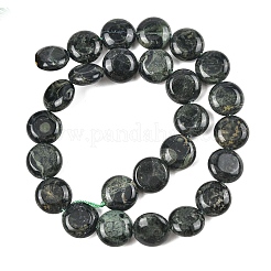 Natural Kambaba Jasper Beads Strands&nbsp;G-L648-B12-15mm