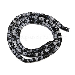 Natural Snowflake Obsidian  Beads Strands&nbsp;G-F631-A04
