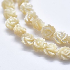 Shell Bead Strands&nbsp;SSHEL-P015-01B-6mm