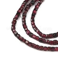 Natural Garnet Beads Strands&nbsp;G-RM25319-A02-2x2mm