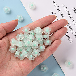 Transparent Acrylic Beads&nbsp;X-TACR-S152-06C-SS2111