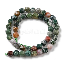 Natural Indian Agate Beads Strands&nbsp;G-C039-E01