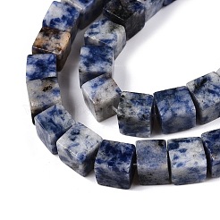 Natural Blue Spot Jasper Beads Strands&nbsp;G-T139-8x8-41