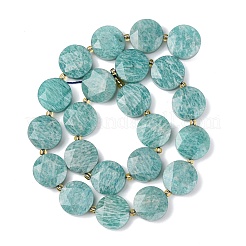 Natural Amazonite Beads Strands&nbsp;G-L654-N03-01
