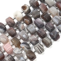 Natural Botswana Agate Beads Strands&nbsp;G-G453-G10-7x12mm