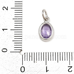 Brass Pave Cubic Zirconia Charms&nbsp;KK-CBA1E99-03P-D