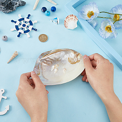Natural Shell Jewelry Plates&nbsp;DJEW-WH0058-08