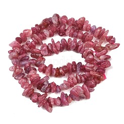 Natural Red Tourmaline Beads Strands&nbsp;G-P332-67A