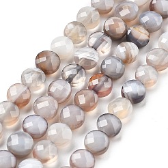Natural Botswana Agate Beads Strands&nbsp;G-C179-A18-02