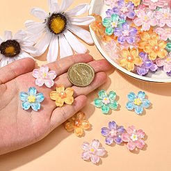 60Pcs 6 Colors Gradient Color Translucent Resin Cabochons&nbsp;RESI-CJ0002-51