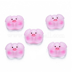 Translucent Resin Cabochons&nbsp;CRES-N030-019