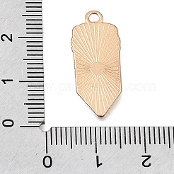 Alloy Enamel Pendants&nbsp;AL-CBA7D73-01KCG