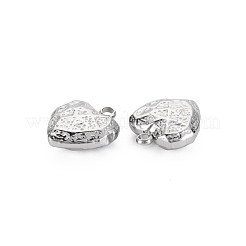 Non-Tarnish 304 Stainless Steel Charms&nbsp;STAS-N097-190P