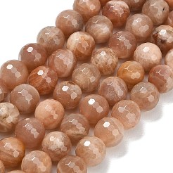 Natural Sunstone Beads Strands&nbsp;G-C280-B18-10mm