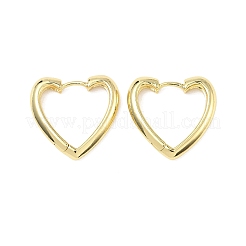 Brass Hoop Earrings&nbsp;EJEW-D323-01G