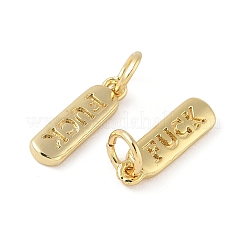 Brass Pendants&nbsp;KK-L245-01G-03