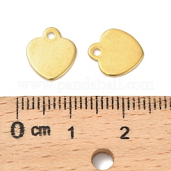 304 Stainless Steel Charms&nbsp;STAS-I350-01G-02